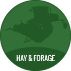hay